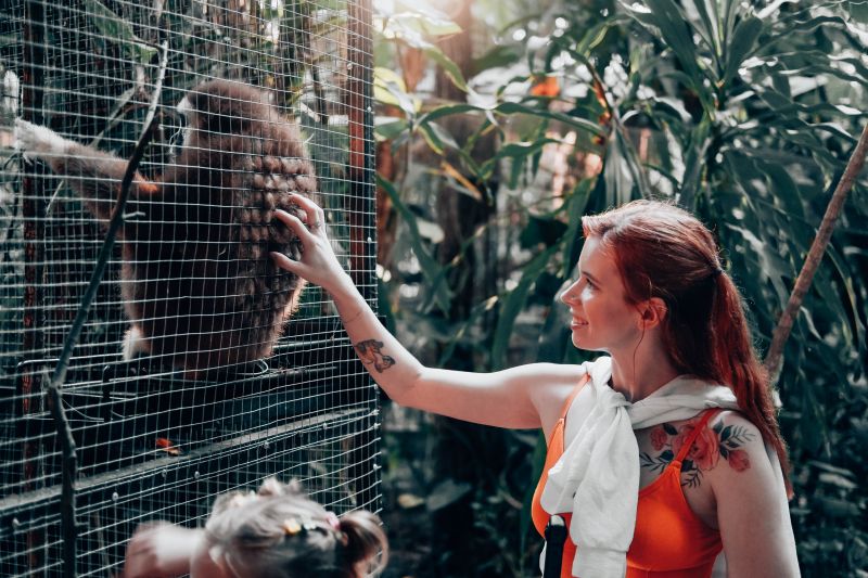 Спустя пол года в Тае мы активировали режим 