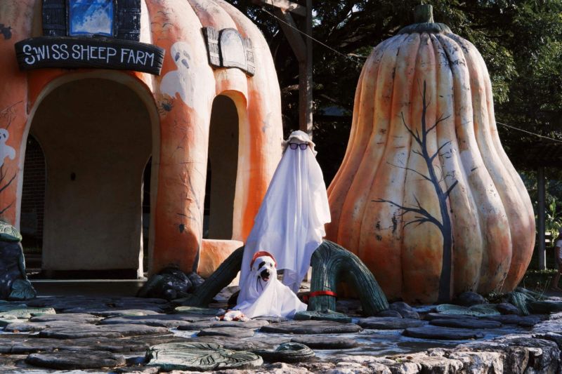 🎃 Празднуем Хэллоуин в Эквадоре!